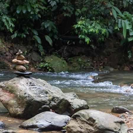 Rain Forest Guest House And Jungle Trekking Bukit Lawang Exterior foto