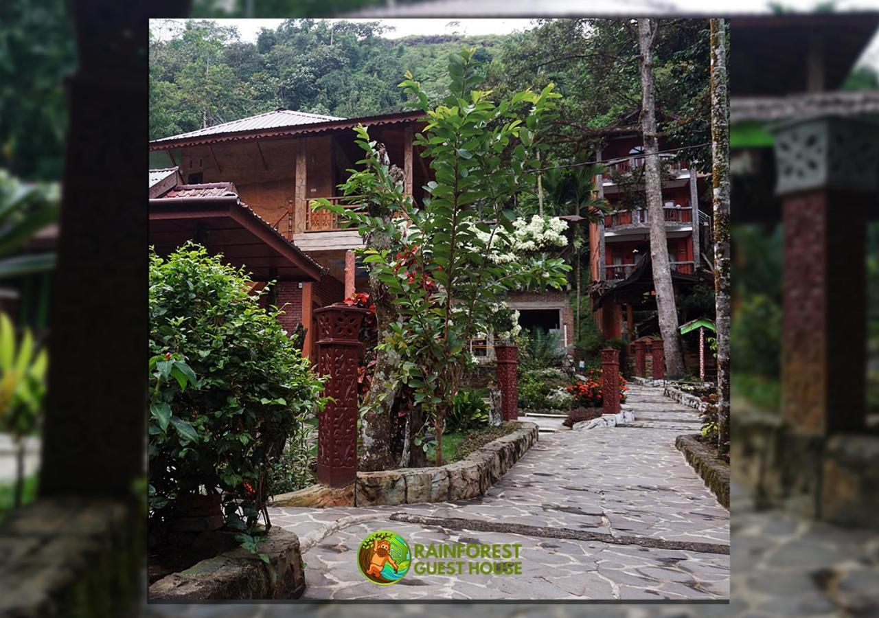 Rain Forest Guest House And Jungle Trekking Bukit Lawang Exterior foto