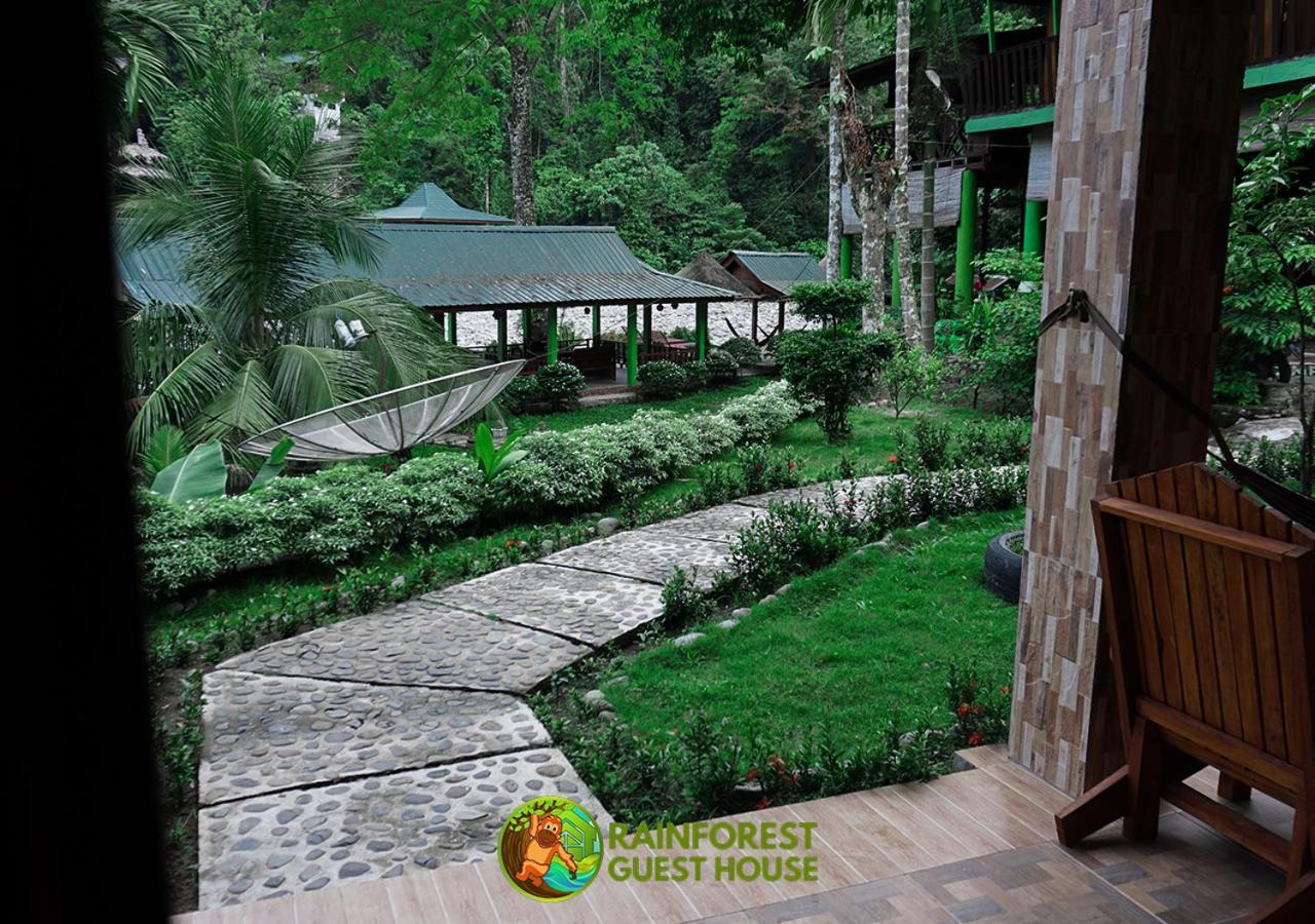 Rain Forest Guest House And Jungle Trekking Bukit Lawang Quarto foto