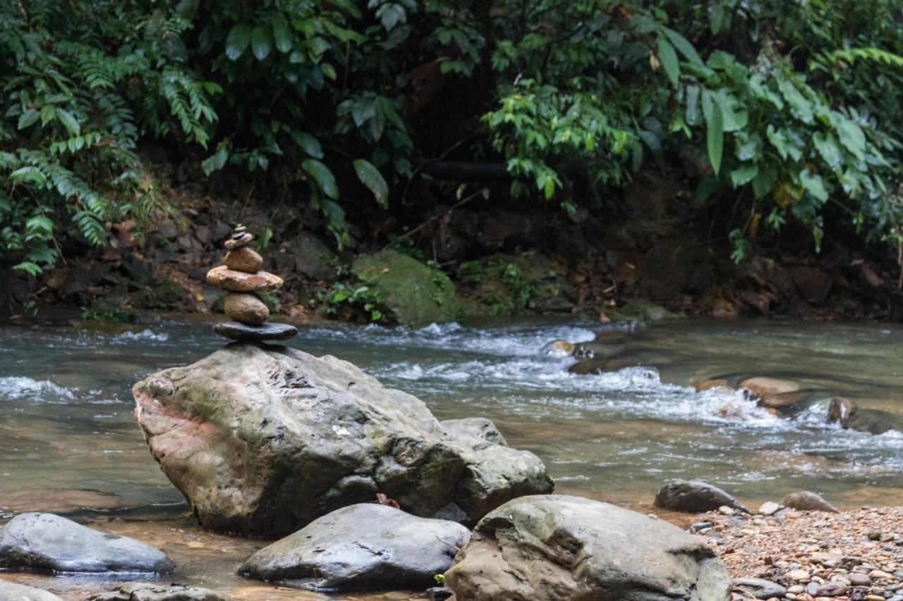 Rain Forest Guest House And Jungle Trekking Bukit Lawang Exterior foto